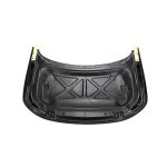 Carbon bonnet